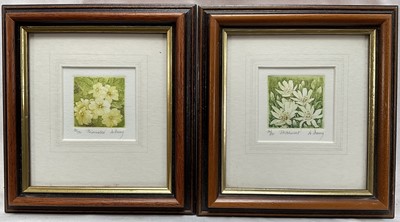 Lot 38 - Jo Barry two small colour etchings, signed, titled and numbered in pencil, images 4.5cm, in glazed frames