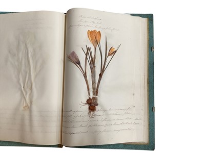Lot 1194 - Five Victorian albums containing dried botanical specimens with hand written notes relating to the plants.