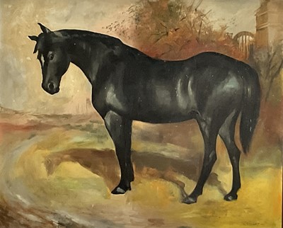 Lot 272 - W. Stuart 20th century, oil on board, dark bay hunter in a field, signed, in black and gold frame. 46 x 56cm.