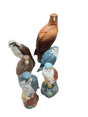 Lot 490 - Group of six Royal Doulton Birds of Prey Whisky decanters (6).