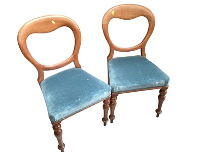 Lot 1455 - Set of four Victorian mahogany balloon back dining chairs with blue upholstered seats, together with another set of four similar chairs (8)
