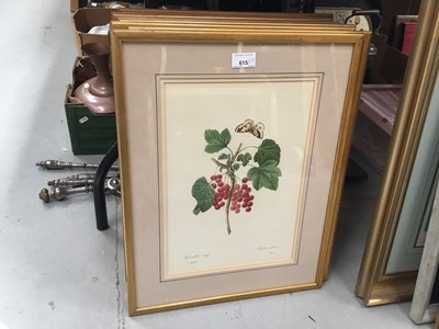 Lot 615 - Four Pierre-Joseph Redouté botanical prints, in glazed gilt frames