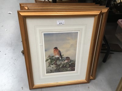 Lot 922 - Collection of five Archibald Thorburn limited edition prints - Garden Birds, with Certificates of Authenticity.