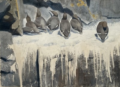 Lot 183 - Darren Rees, watercolour, Guillemots at Skomer, 55cm x 76cm, in glazed frame.