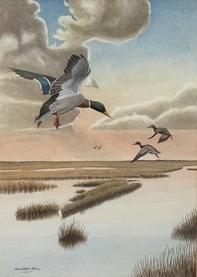 Lot 265 - Richard Hull (West Mersea artist), watercolour, 'Mallard at Langenhoe Point', signed, glazed frame