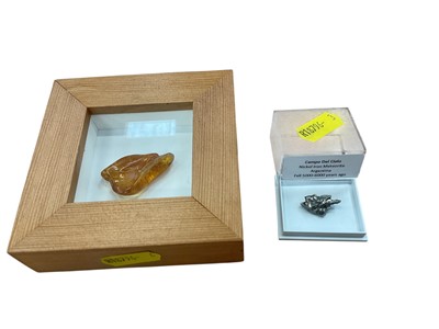 Lot 2436 - Meteorite fragment, together with a Baltic Amber fragment (2).