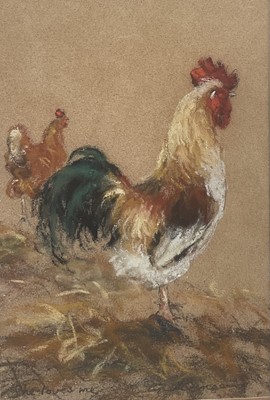 Lot 99 - Lynette Singers, contemporary, pastel - a cockerel, 'She Loves Me', signed and inscribed, in glazed frame