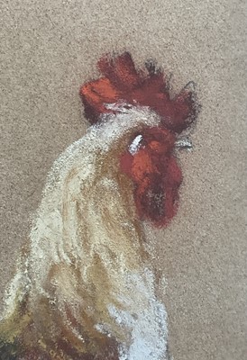 Lot 99 - Lynette Singers, contemporary, pastel - a cockerel, 'She Loves Me', signed and inscribed, in glazed frame