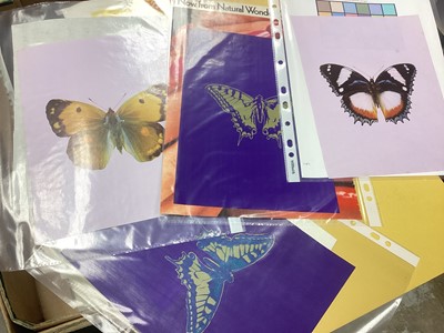 Lot 2307 - Extensive range of creative works by Richard Drew (Zacron) (1943-2012), including photography, prints, drawings, watercolours and reference materials; also included is a Led Zeppelin brochure pr...