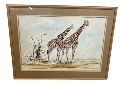 Lot 1436 - Allan Carter (b. 1909) watercolour, Giraffe, signed, 47 x 69cm, glazed frame