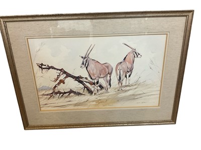 Lot 1439 - Allan Carter (b. 1909) watercolour, antelope, signed, 40 x 64cm, glazed frame