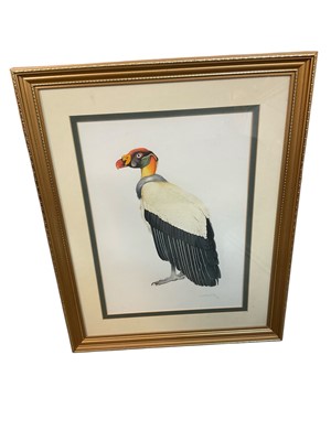 Lot 1442 - Malcolm Ellis, gouache on paper. Vulture, signed and dated '99, 35 x 25cm, glazed frame