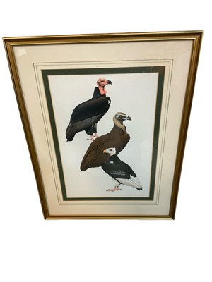 Lot 1444 - Malcolm Ellis, gouache on paper. Vultures, signed, 32 x 22cm, glazed frame