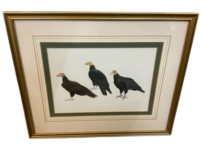 Lot 1445 - Malcolm Ellis, gouache on paper. Vultures, signed, 17 x 24cm