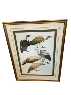 Lot 1446 - Malcolm Ellis, gouache on paper. Vultures, signed, 34 x 24cm, glazed frame