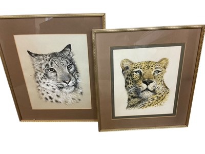 Lot 1448 - KRS watercolour. Head of a leopard, signed and dated 32 x 26cm, glazed frame, and another similar. (2)