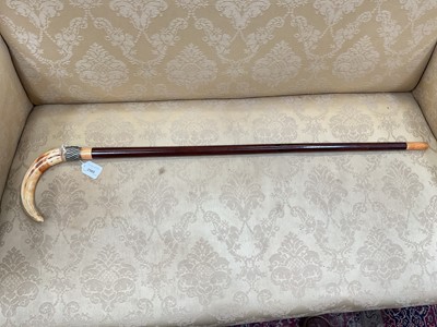 Lot 2560 - Victorian gentleman’s walking cane, with Rosewood shaft and Wild Boar’s tusk handle, white metal collar with Queen Victoria 1897 medallion and horn ferrule. 110cm overall length.