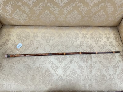 Lot 2561 - Victorian ladies' walking stick with cane shaft and porcelain rondel handle, decorated with a scene of a boy and girl in a garden, with silver collar, hallmarked Birmingham 1894 and a silver buck...