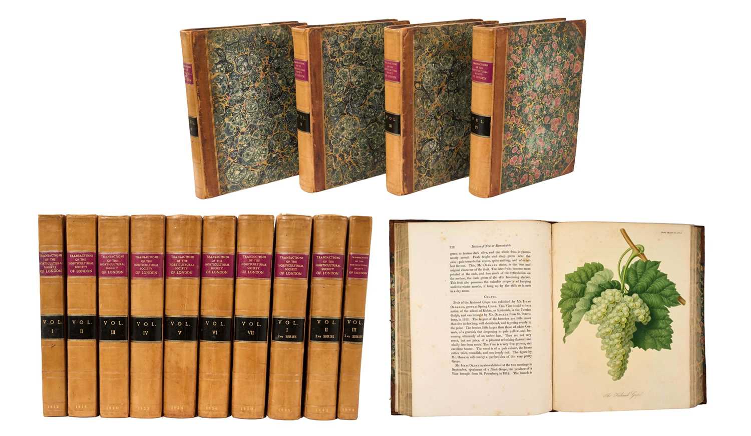 Lot 663 - Transactions of the Horticultural Society of London