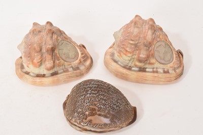 Lot 669 - Three Victorian carved conch shells