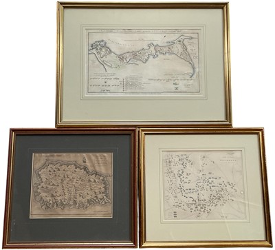 Lot 55 - Three 19th C maps, Field of Waterloo,21.5cm x 26cm, Island and Forts of St Helena, ,20cm x 25cm and British Army in Egypt 1801 landing Aboukir Bay, 22cm x 28cm, in glazed frame (3)