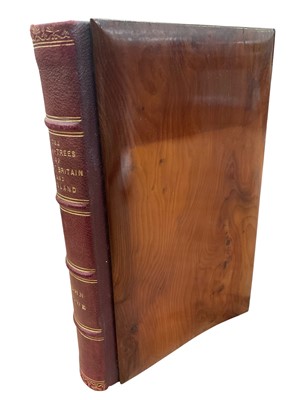 Lot 1686 - John Lowe - The Yew Trees of Great Britain and Ireland, pub. MacMillan & Co. 1897, extensively illustrated and finely bound with specimen yew wood boards