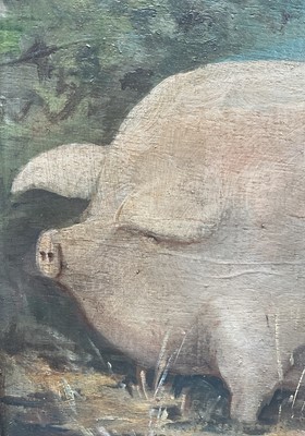 Lot 32 - English School, oil on panel - A Prize Pig, 16.5cm x 27cm, in carved wooden frame
