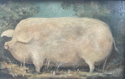 Lot 32 - English School, oil on panel - A Prize Pig, 16.5cm x 27cm, in carved wooden frame