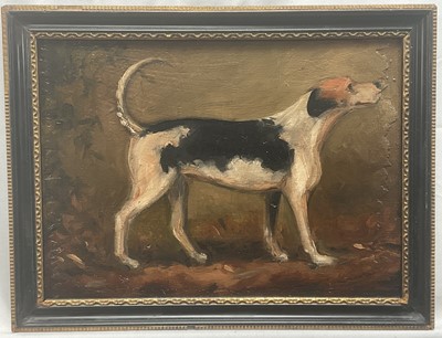 Lot 33 - English School, oil on panel - A Foxhound, 22cm x 31cm, in Hogarth frame