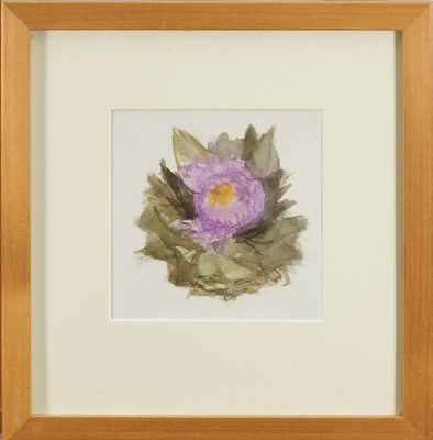 Lot 869 - *Mary Potter (1900-1981) watercolour - Artichoke Flower, in glazed frame