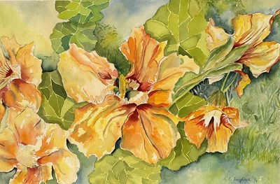 Lot 245 - C. E. Longland, contemporary, watercolour - Nasturtiums, signed and dated '94, in glazed frame