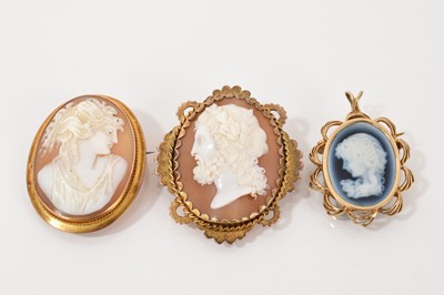 Lot 589 - Three cameo brooches