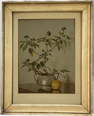 Lot 158 - Two early 19th century watercolours by Beatrix Martin, February Flowers, 35cm x 26cm and Ivy, 34cm x 20cm