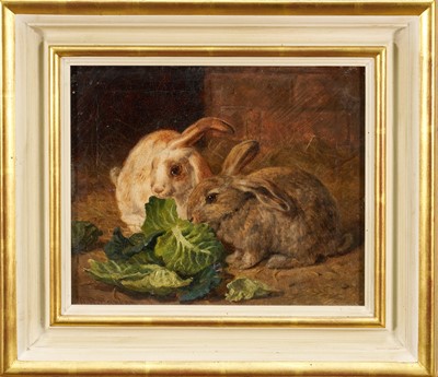 Lot 1171 - Alfred Richardson Barber (1844-1924) oil on canvas - Two Rabbits, signed, 26cm x 31cm, framed