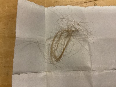 Lot 80 - A lock of hair belonging to H.R.H. Princess Victoria The Princess Royal (later The Empress of Germany)