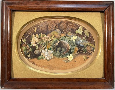 Lot 116 - Alice Mitchell, Victorian watercolour - Still Life with Birds Nest, signed and dated 1862, 22cm x 32cm, in rosewood frame