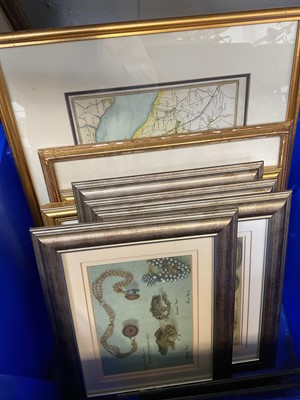 Lot 5030 - Pair of 19th century Italian drawings, together with a selection of prints