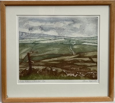 Lot 364 - Anne Aspinall (b. 1949) limited edition etching and aquatint - Field Patterns, November, signed and numbered 1/30, 20cm x 25cm, glazed frame