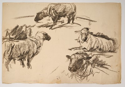 Lot 1076 - Harry Becker (1865-1928) charcoal, Sheep Studies, 38.5cm x 55.5cm