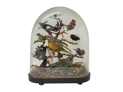 Lot 940 - Victorian taxidermy bird group