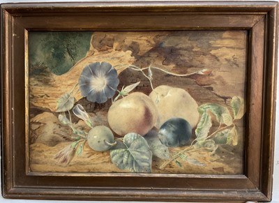 Lot 186 - Victorian watercolour still life study of fruit with flowers in natural setting. Label verso ‘by Masie, Royal Institution Edinburgh’