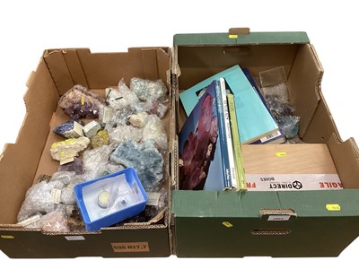 Lot 2963 - Collection of geological specimens, geodes, and minerals, together with reference books on the subject