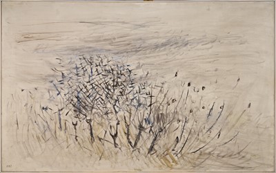 Lot 1162 - *Elinor Bellingham-Smith (1906-1988) oil on canvas - Teazels and Black Thorn, signed, titled verso, 76cm x 121cm, framed