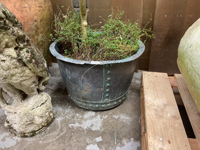 Lot 1954 - Antique riveted copper with flared rim, 51cm diameter x 53cm high, contains an olive tree