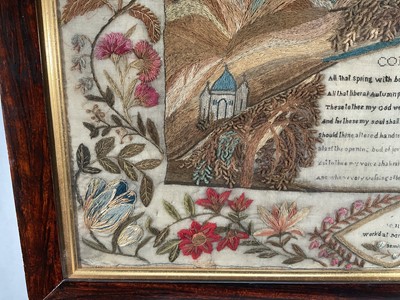 Lot 973 - Rare and particularly fine William IV seminary sampler