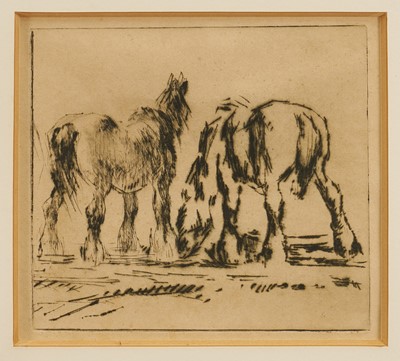 Lot 1043 - Harry Becker (1865-1928) etching - Two Horses, 18.5cm x 20.5cm, in glazed frame