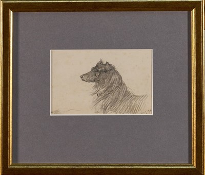 Lot 1014 - *Lucy Kemp-Welch (1869-1958) pencil drawing - A Collie, dated Aug. '94, 7cm x 11cm, in glazed gilt frame. NB: From an 1894 album of drawings and oils which was a gift from Lucy and her si...