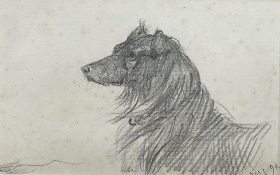 Lot 1014 - *Lucy Kemp-Welch (1869-1958) pencil drawing - A Collie, dated Aug. '94, 7cm x 11cm, in glazed gilt frame. NB: From an 1894 album of drawings and oils which was a gift from Lucy and her si...