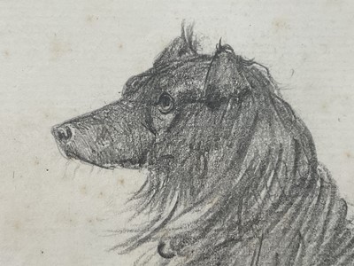 Lot 1014 - *Lucy Kemp-Welch (1869-1958) pencil drawing - A Collie, dated Aug. '94, 7cm x 11cm, in glazed gilt frame. NB: From an 1894 album of drawings and oils which was a gift from Lucy and her si...