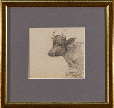 Lot 1012 - *Lucy Kemp-Welch (1869-1958) pencil drawing - A Cow, 'Bored Indifference', dated Aug. '94, 10cm x 11cm, in glazed gilt frame. NB: From an 1894 album of drawings and oils which was a gift...